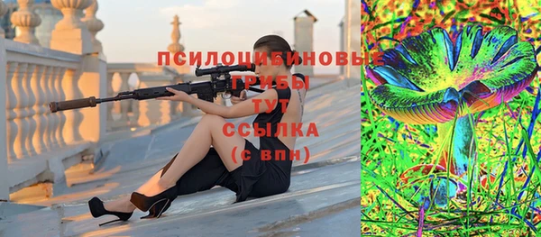 не бодяженный Ленинск