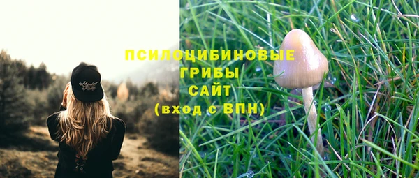 ALPHA-PVP Тында